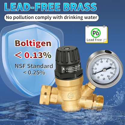Boltigen RV Water Pressure Regulator with Gauge, Adjustable 3/4" GHT