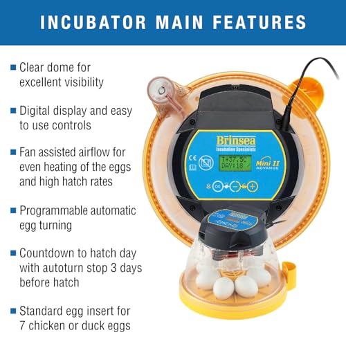 Brinsea Mini II Advance Complete Classroom Egg Hatching Incubation Kit - size: Classroom Kit, 7 Eggs