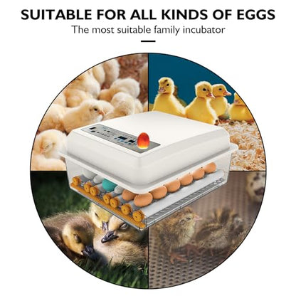Egg Incubator,Egg Incubator with Automatic Egg Turning and Humidity Control,Poultry Hatcher for Chickens Ducks Birds (180 Eggs) - size: 180 Eggs