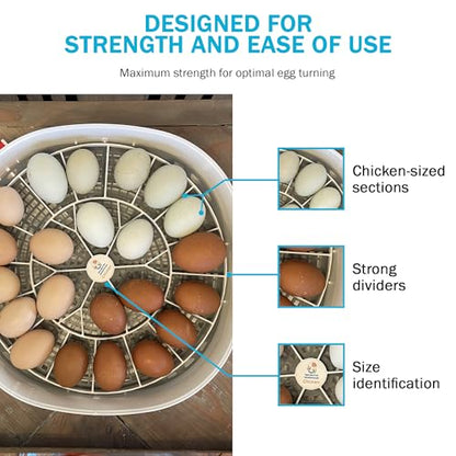 Egg Trays for Nurture Right 360 Egg Incubator,22 Medium Chicken Eggs Keeper