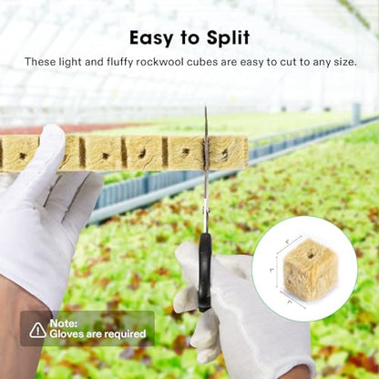VIVOSUN 1 Inch Rockwool Cubes, 100 Plugs Grow Cubes for Hydroponics, Cuttings, Cloning, Plant Propagation, Seed Startling (Pack of 2) - size: 1"-100 Plugs (Pack of 2)
