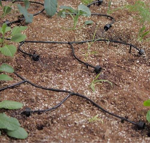 AEO Solar-Powered Automatic Watering Drip Irrigation System, 50 Drippers, 155 ft for Balcony Greenhouse Raised Garden Bed - size: 50 Drips