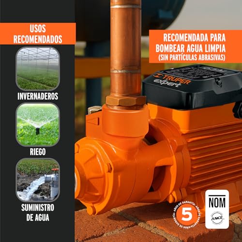 Peripheral pump electric water 3/4 HP, Truper Expert - size: 3/4 HP, style: Above Ground