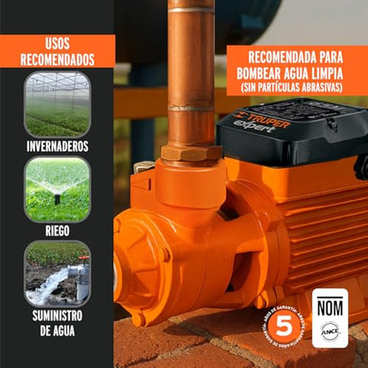 Peripheral pump electric water 3/4 HP, Truper Expert - size: 3/4 HP, style: Above Ground