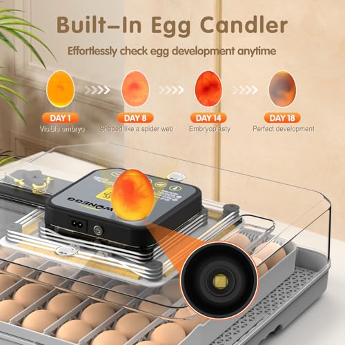 Incubators for Hatching Eggs Egg Incubator for Lab Home Farm with Automatic Egg Turning for Chicken, Ducks, Goose, Quail 48 Eggs