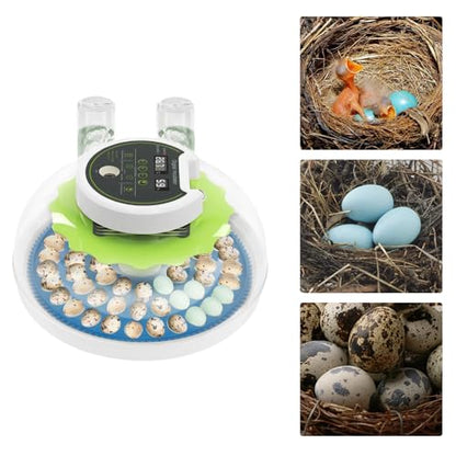 Bird Egg Incubator 60 Eggs, Poultry Quail Incubator, Automatic Temperature Control with Digital LED Display, Small Quail Brooder, for Parrot, Canary, Small Poultry & Bird Hatching - size: 60 Bird Eggs