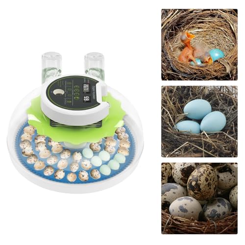 Bird Egg Incubator 60 Eggs, Poultry Quail Incubator, Automatic Temperature Control with Digital LED Display, Small Quail Brooder, for Parrot, Canary, Small Poultry & Bird Hatching - size: 60 Bird Eggs