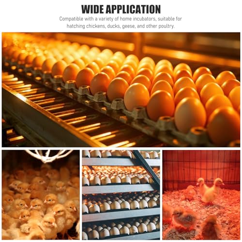 Multifunctional Automatic Incubator Thermostat Temperature Humidity Controller for Eggs Black