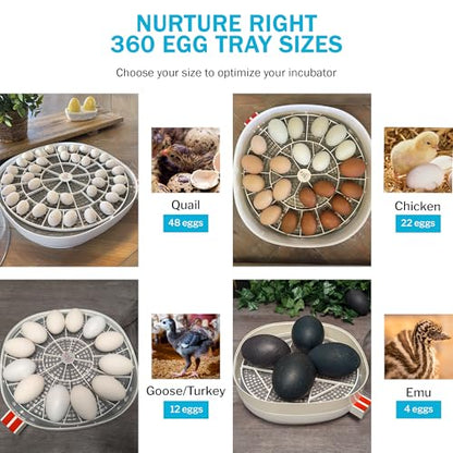 Egg Trays for Nurture Right 360 Egg Incubator,22 Medium Chicken Eggs Keeper