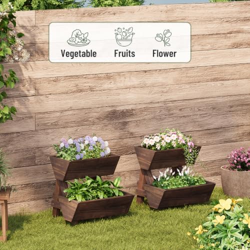 2-Tier Vertical Wooden Raised Garden Bed, Garden Planter Box,Carbonized - color: Carbonized, size: 2-Tier Small