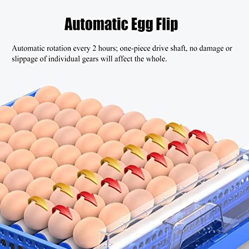 Automatic Egg Incubator Digital Poultry Hatcher Machine ith Automatic Egg Turning, Temperature & Humidity Control, Efficient LED Lighting for Chicken Geese Ducks Pigeons Quails (128 Eggs, B)