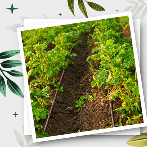 Nuanchu 656 ft 1/4" Drip Irrigation Tubing Irrigation Hose Garden Watering Tube Line with 6 Inch Emitter Spacing Blank Distribution Tubing Drip Line Watering for Garden Irrigations System, Brown