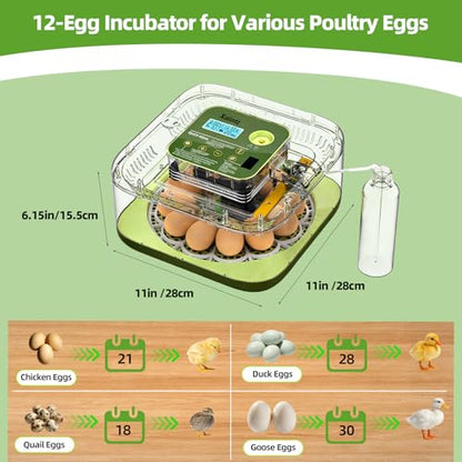 12 Egg Incubator for Hatching Eggs with Automatic Turning, Temperature & Humidity Display, Egg Candler, and Hatch Day Alert - Ideal for Chicken, Duck, and Quail Eggs
