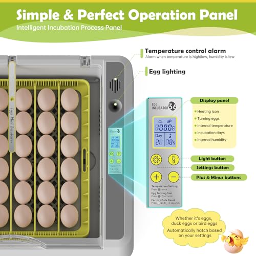 Egg Incubator for Hatching Chick, 36 Eggs Automatic Temp & Humidity Control - color: SXY-Eg36