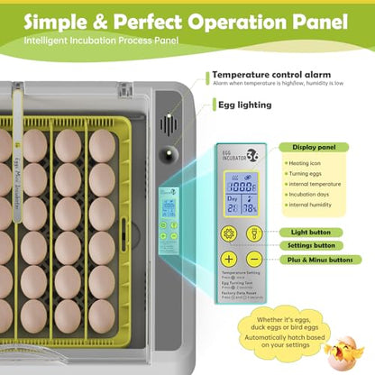 Egg Incubator for Hatching Chick, 36 Eggs Automatic Temp & Humidity Control - color: SXY-Eg36