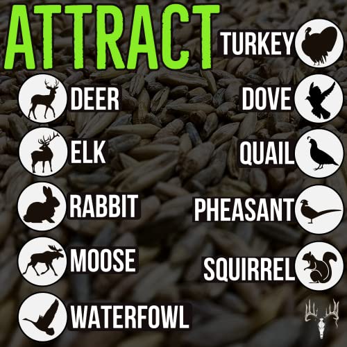 Crooked Bend Last Resort Blend, 50LB Bulk, Winter Food Plot Seed for Deer, Cereal Grain Rye, Wheat, Barley, Triticale & Oat Seeds Grow Whitetail & Turkey Attractants & Cold Hardy Hunting Food Plots - size: 25 Pound (Pack of 2)