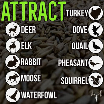 Crooked Bend Last Resort Blend, 50LB Bulk, Winter Food Plot Seed for Deer, Cereal Grain Rye, Wheat, Barley, Triticale & Oat Seeds Grow Whitetail & Turkey Attractants & Cold Hardy Hunting Food Plots - size: 25 Pound (Pack of 2)