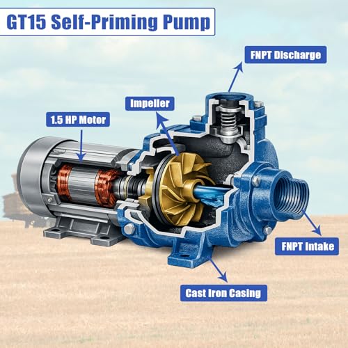 GT15 Self-Priming Centrifugal Pump,1.5HP Motor/230 Volts