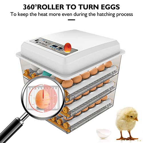 Egg Incubator,Egg Incubator with Automatic Egg Turning and Humidity Control,Poultry Hatcher for Chickens Ducks Birds (180 Eggs) - size: 180 Eggs