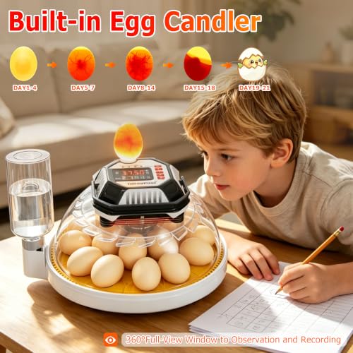 Egg Incubators for Hatching Eggs, Temperature&Humidity Control