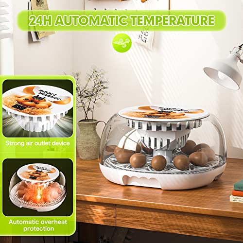 Upgraded Auto Digital Incubator, 12 Eggs Natural Incubation Simulator, Auto Egg Rolling and Water Fulfilling, 24H Temperature Control, with Egg Flashlight, Easy Newcomer Poultry Incubation