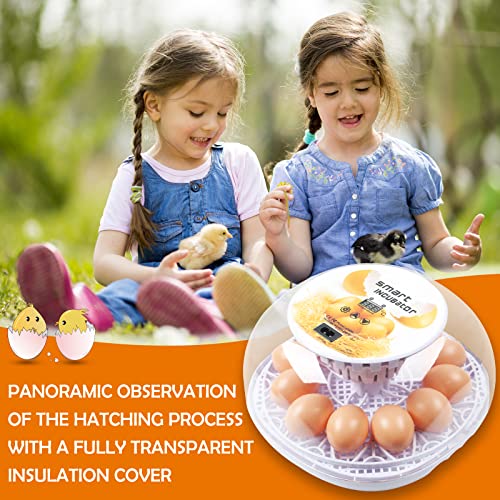 Upgraded Auto Digital Incubator, 12 Eggs Natural Incubation Simulator, Auto Egg Rolling and Water Fulfilling, 24H Temperature Control, with Egg Flashlight, Easy Newcomer Poultry Incubation
