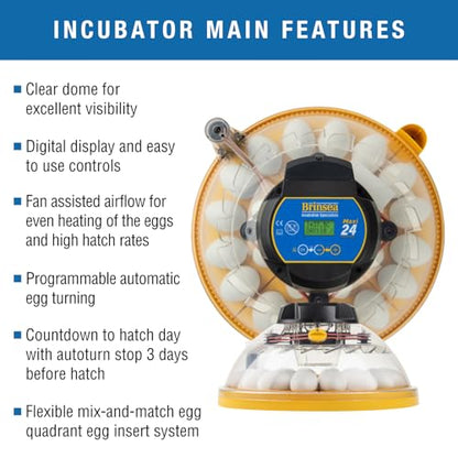 Brinsea Maxi 24 Advance Complete Classroom Egg Hatching Incubation Kit - size: Classroom Kit, 24 Eggs