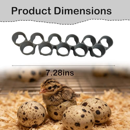 Custom Quail Egg Turner Tray Compatible with Maticoopx 20 Egg Incubator - color: M20
