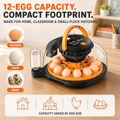 12-Egg Incubator for Hatching Chicken Eggs with WiFi Camera and Auto Turner