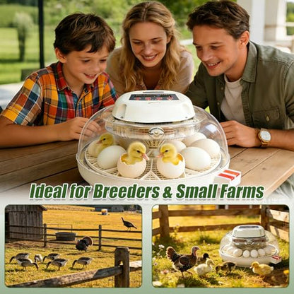 JGT360 Large Goose Egg Turner Tray for Nurture Right 360 Incubator, 10 Egg