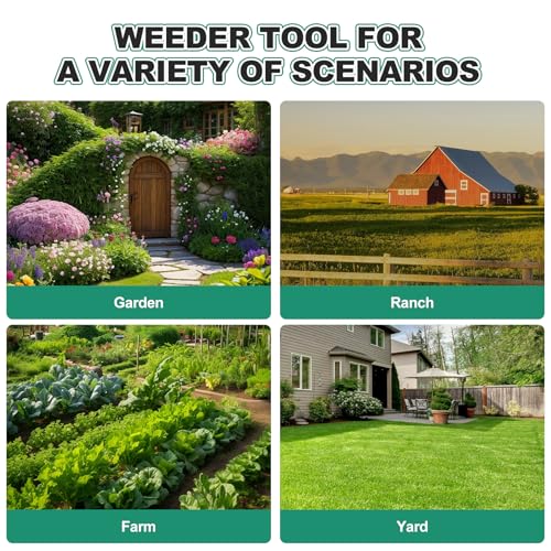 Long Handle Winged Weeder, 60’’ Triangle Warren Hoe Wood Handle - color: Triangle Hoe, size: Length:62inchs