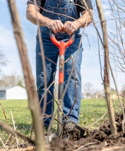 Root Slayer 22011 Garden Shovel, Serrated Blade, Red - color: Red, size: Large