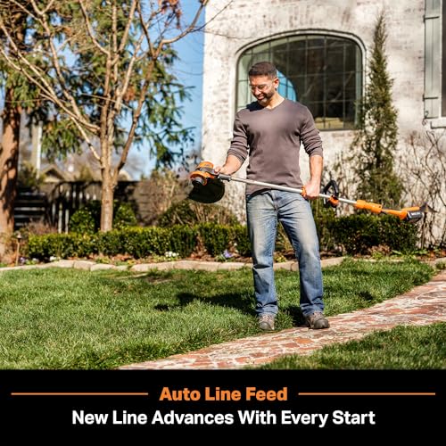 LawnMaster CLGT2412S 24V 12" Cordless String Trimmer 2.0AH Battery & Charger Included - style: Cordless