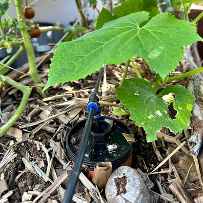 Thirsty Earth: CottaCup Automatic Olla Watering System for Your Garden (6 Cup Kit) - size: 6 Cup Kit