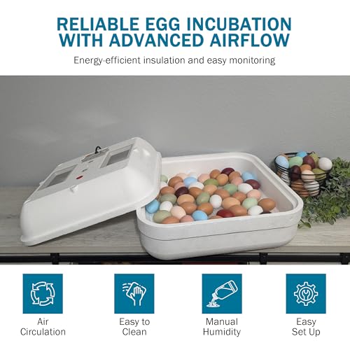 HovaBator 2370 Deluxe Automatic Egg Incubator Kit, Automatic Egg Turner - size: No Additional Tray, style: No Auto Humidity System