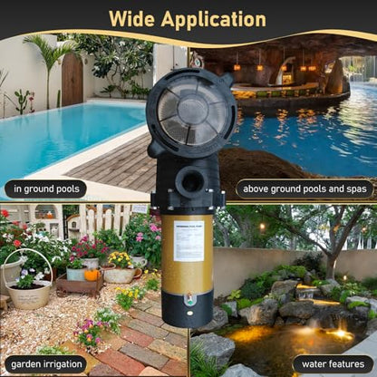 230Vac 1.5HP Two-Speed Energy-Saving Pool Pump 5400GPH - color: Confident Yellow