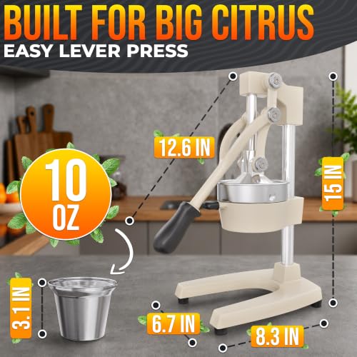 Cast Iron Juicer Hand Press, Heavy-Duty Squeezer (White) - color: White
