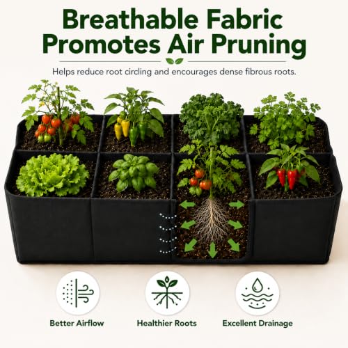 Gardzen 2 Pack Fabric Raised Garden Beds - size: 2Feet x 4Feet