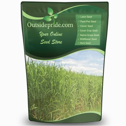 Outsidepride Switchgrass Seed - 10 lbs. Perennial Hardy, Drought & Flood Tolerant Native Grass Seed Ideal Fast-Growing Grasses for Erosion Control, Wildlife Forage & Food Plots, Thrives in Poor Soil - size: 10 lb.