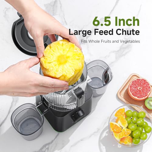 3-IN-1 Cold Press Juicer for Juice, Nut Milk & Sorbet - Self Feeding Juicer Machines with Pre-Cut Blade, 6.5"&100oz Extra Large Chute Fits Whole Fruits & Vegetables, High Yield, Easy Clean - color: Black