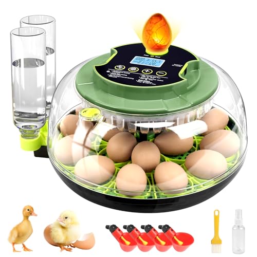 18 Chicken Egg Incubator with Temperature Control Auto Egg Turner - style: 18 Eggs