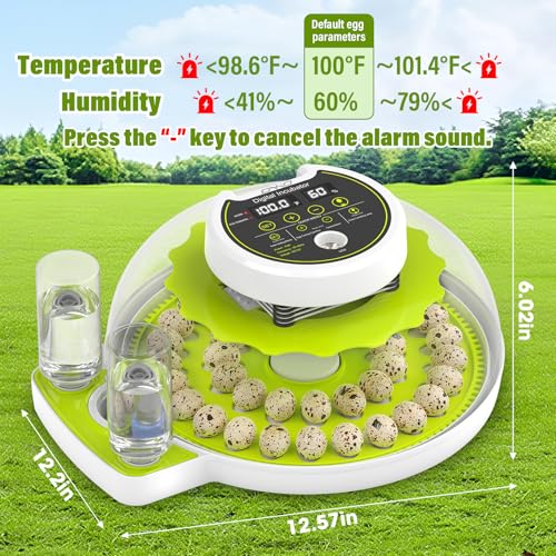 40 Quail Egg Incubator with Automatic Egg Turning Humidity Control Eggs - color: Green