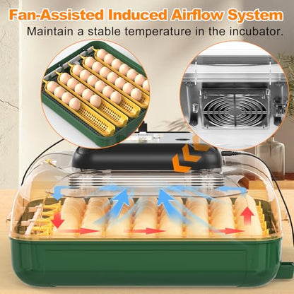 30 Egg Incubator for Hatching Eggs with Auto Egg Turning, High Precision Temperature & Humidity Display, Hatch Day, Egg Candler, Incubator for Hatching Chickens, Higher Hatch Rate