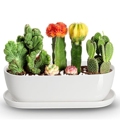 E-liu14 Inch Oval Ceramic Planter Pot with Drainage Hole Saucers - color: White, size: 14 inch Single