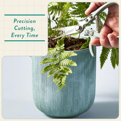 Modern Sprout Hydroponic Grow + Harvest Bundle - color: Basil Garden Jar + Sage Shears