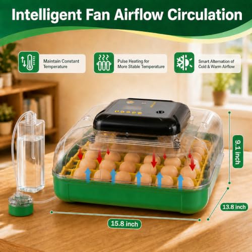 Egg Incubators for Hatching 30 Eggs with Temperature Humidity Control,Green - color: grass green