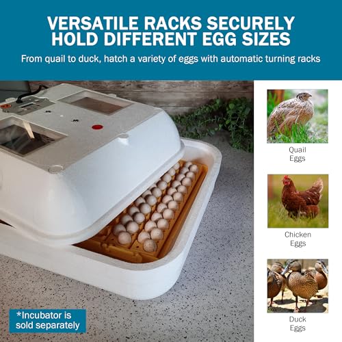 Hova-Bator GQF Automatic Egg Turner - Quail to Duck Egg