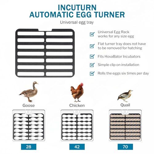 HovaBator 2370 Deluxe Automatic Egg Incubator Kit, Automatic Egg Turner - size: No Additional Tray, style: No Auto Humidity System