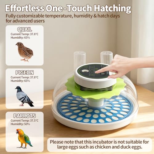 60 Quail Egg Incubator for Hatching with Auto Turning & Humidity Control - size: 66 Units
