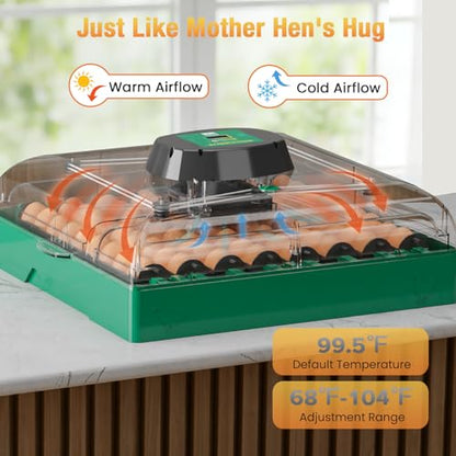 Egg Incubator for Chicken Eggs, Max 72 Egg Incubator with Auto Turner